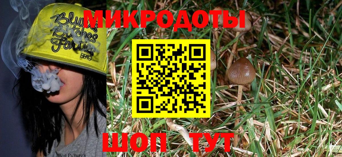 Псилоцибиновые грибы MAGIC MUSHROOMS Новошахтинск