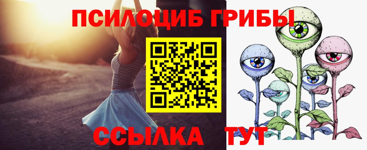 Галлюциногенные грибы MAGIC MUSHROOMS  Вход с VPN  Новошахтинск 